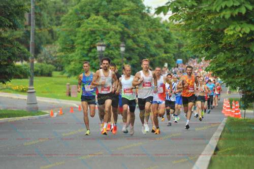 530, 5954, 5313, 5930