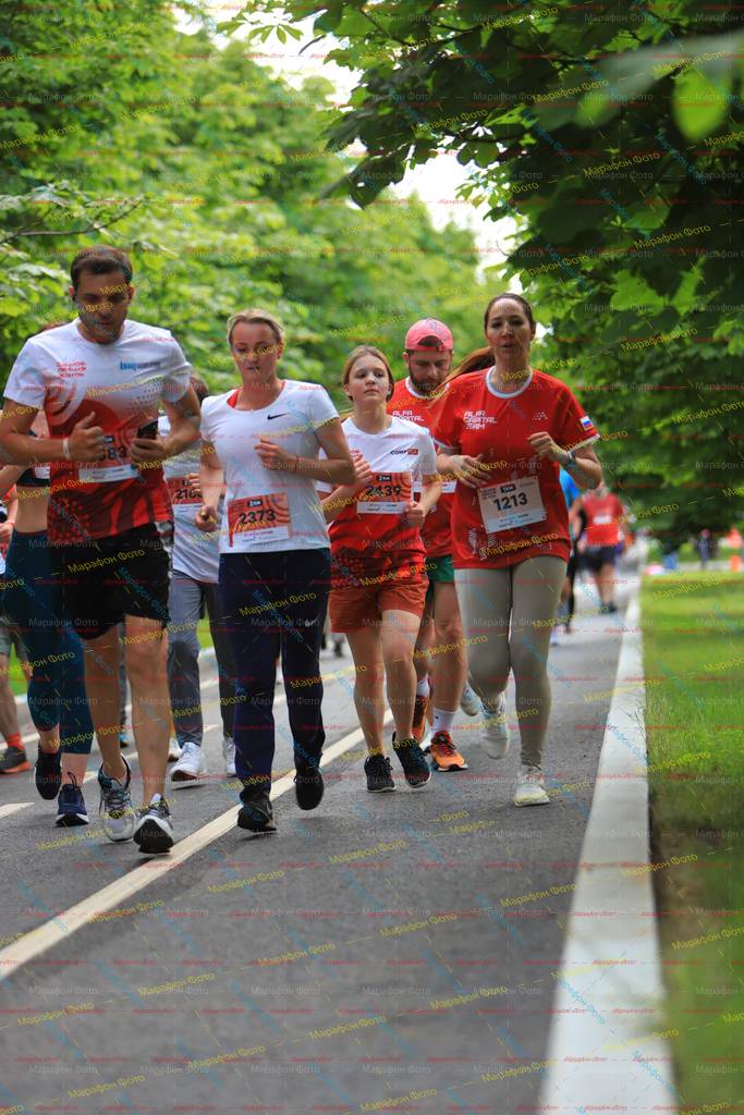 1213, 83, 2439, 2373