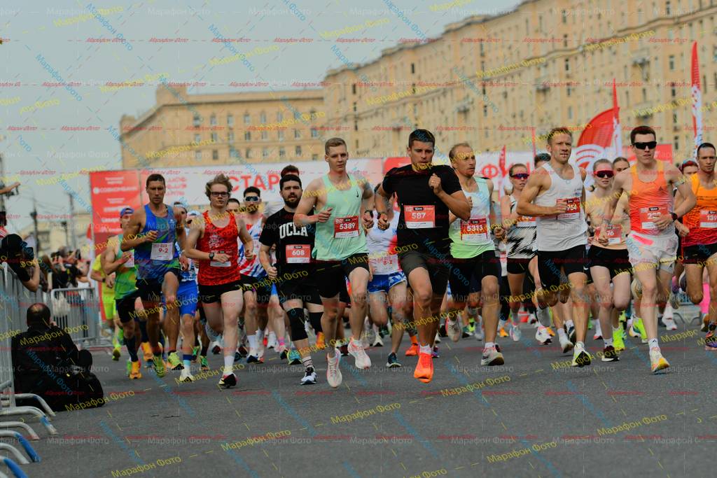 254, 5389, 5313, 608