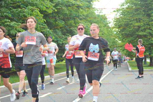 2546, 257, 2454, 2080