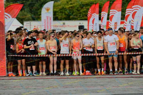 527, 6000, 5313, 5954