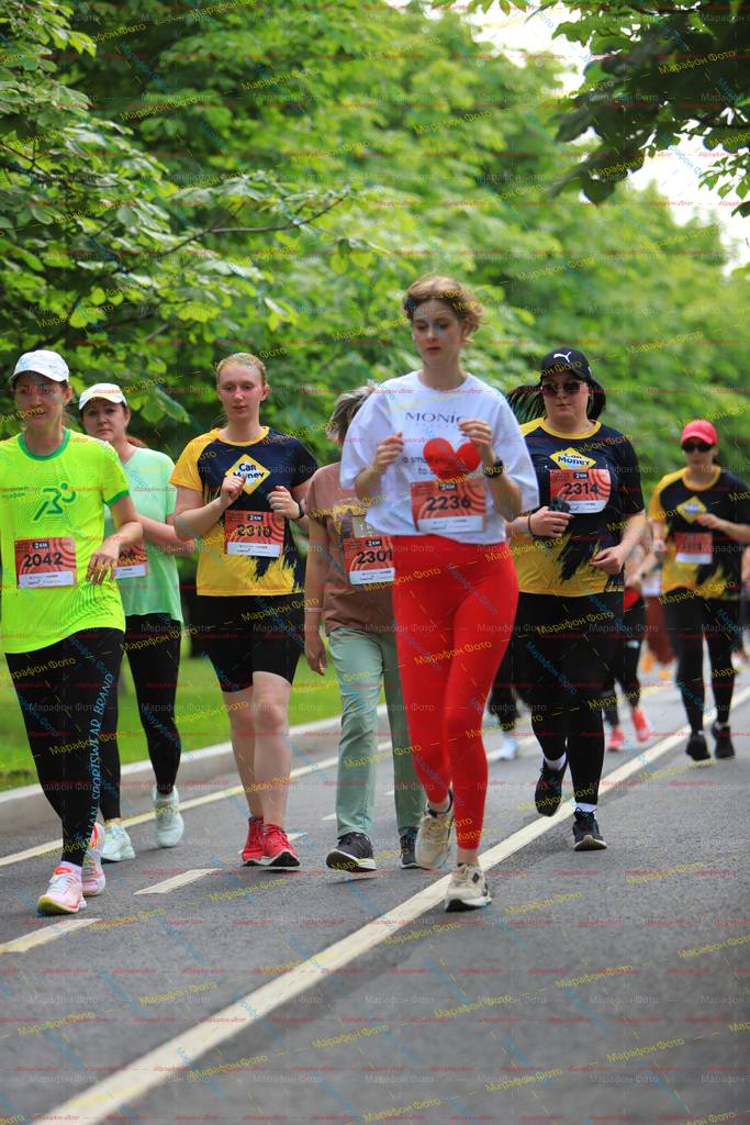 2236, 2310, 2314, 2042, 2301