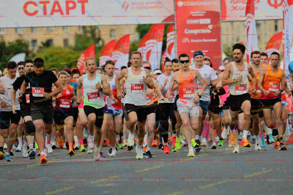 587, 222, 139, 5954, 5313, 530