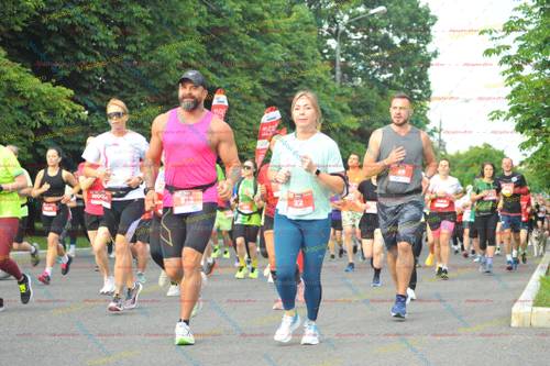 22, 513, 10, 59004, 5602