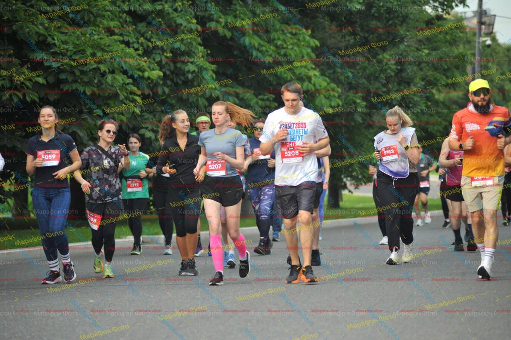 342025, 5783, 88, 5059, 5207