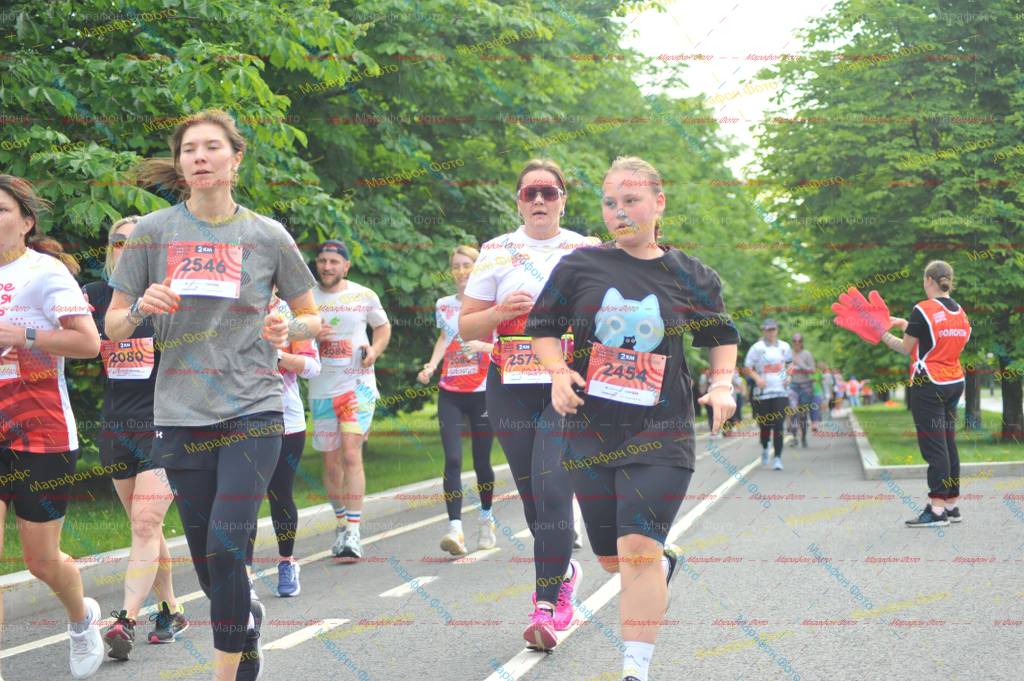 2546, 257, 2454, 2080