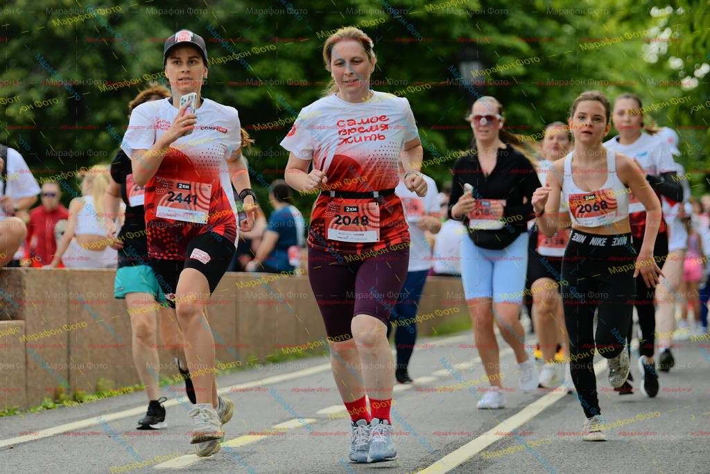 2441, 2048, 2068, 218