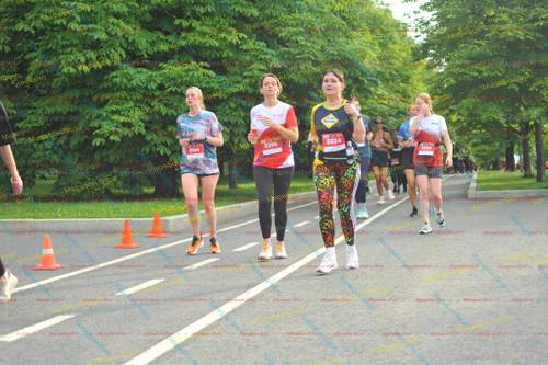 5396, 5534, 5554, 5144