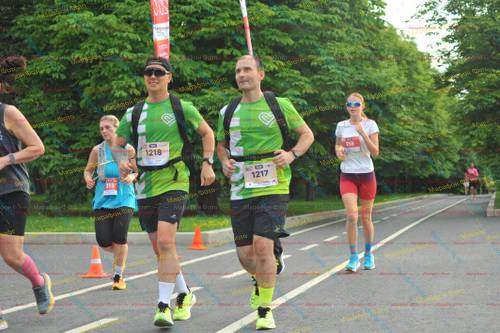 216, 213, 1218, 1217