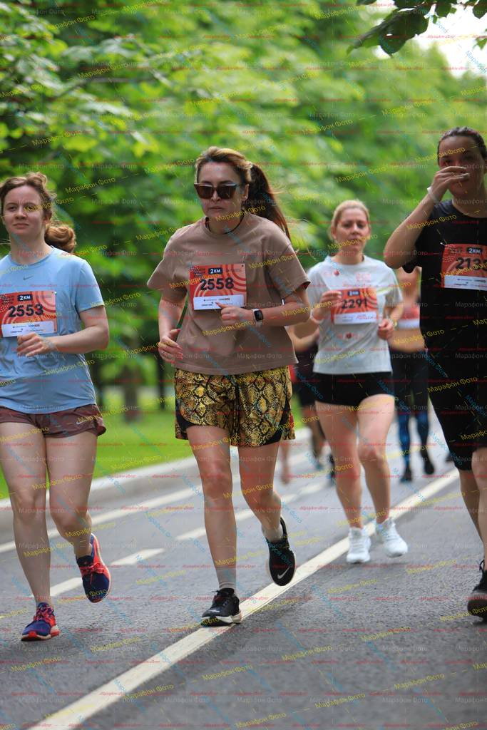 2558, 213, 229, 2553