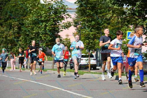 073, 054, 08, 253, 082, 091, 015