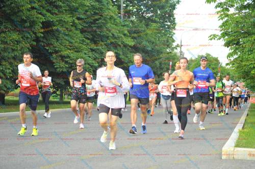 503, 5802, 119, 5853, 5953