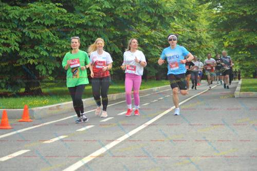 5638, 5480, 5479, 347