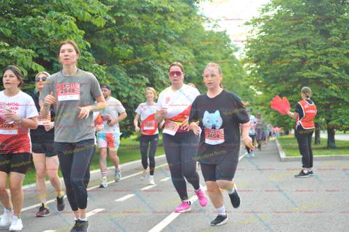 2454, 2546, 2099, 20