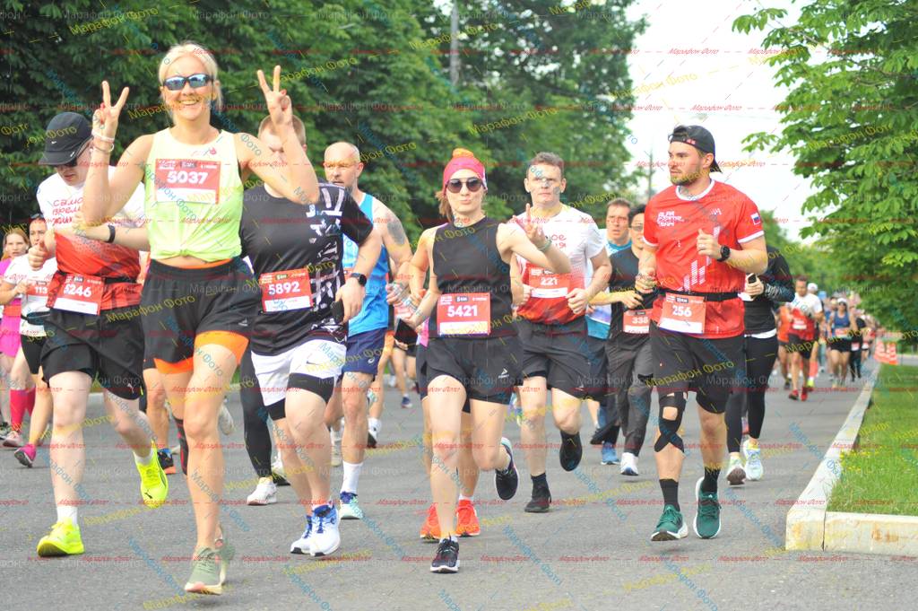 256, 5421, 221, 5892