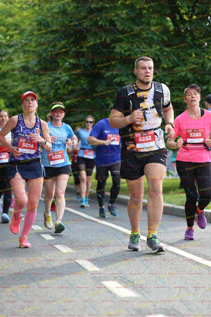 5285, 5252, 5016, 5576