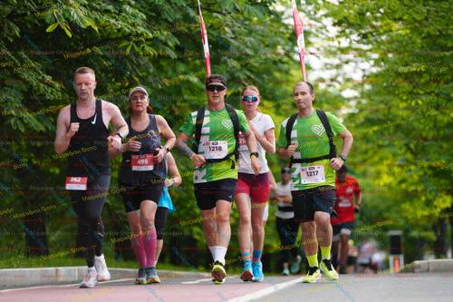 1217, 242, 1218, 498