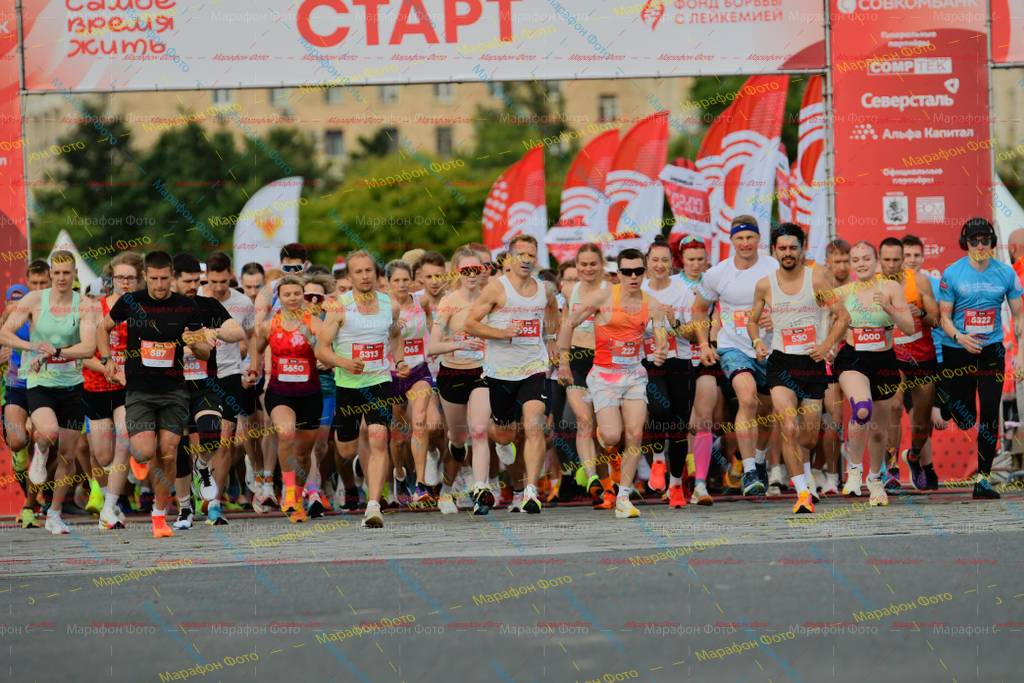 530, 5650, 5313, 5322, 5954