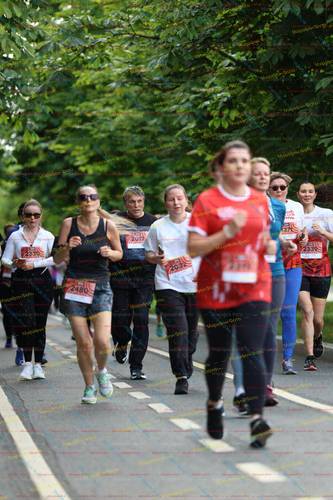 248, 203, 2017, 2330