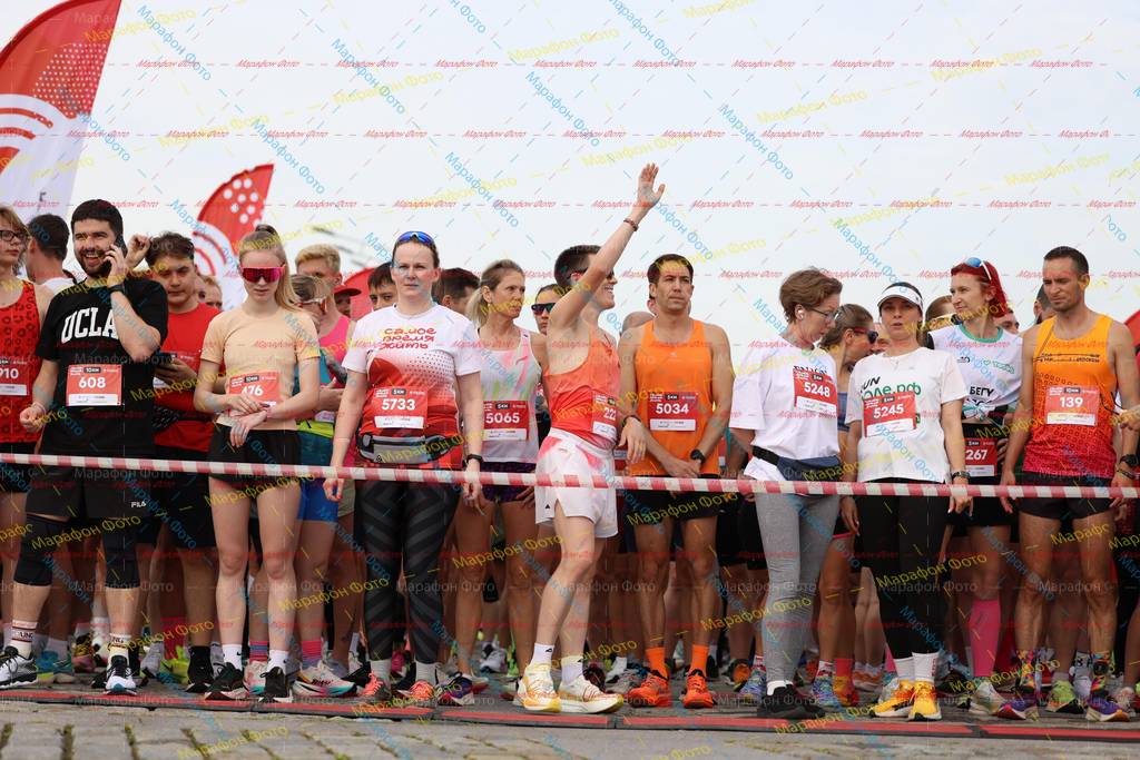 5733, 176, 139, 608, 5245, 5248, 5034, 267, 221, 5065