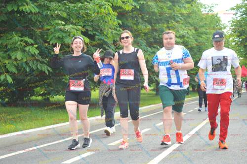 2119, 238, 2033, 2034