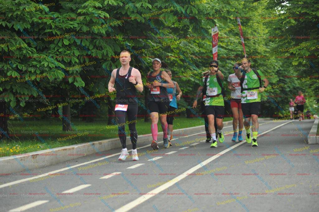 242, 1218, 498, 1217