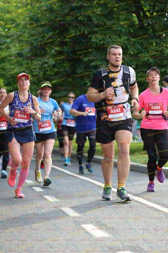 5285, 5252, 5016, 5576