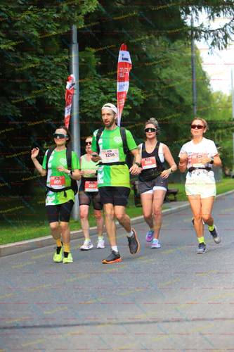 246, 10, 1216, 601, 230