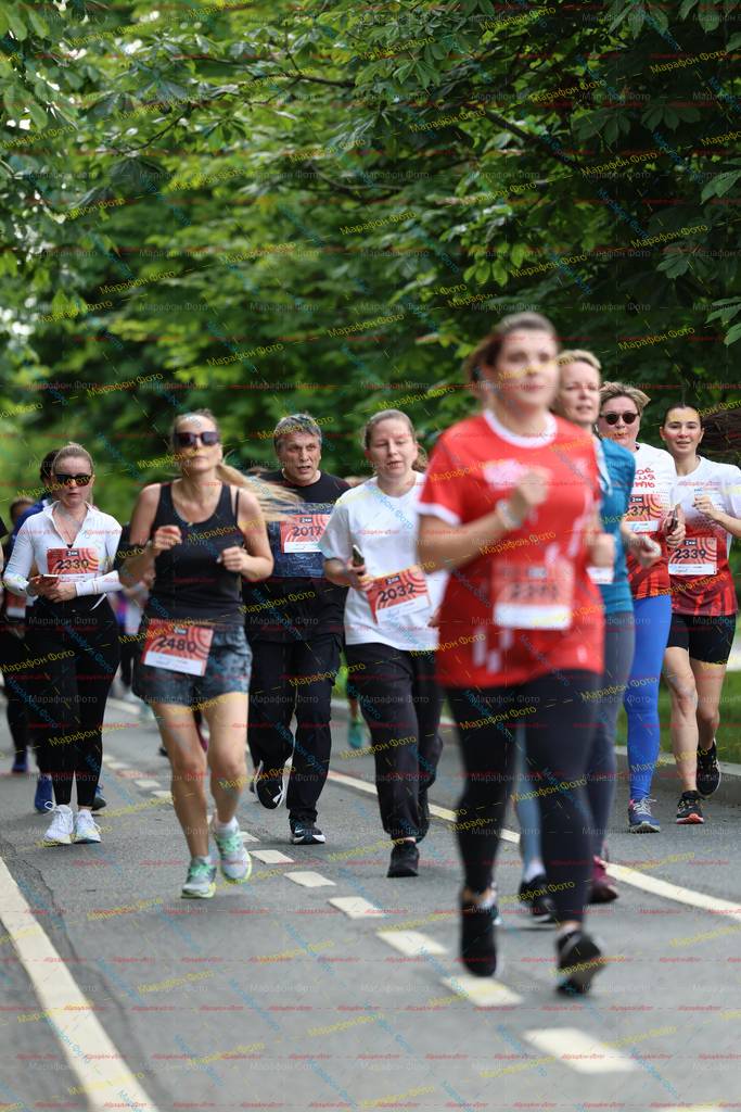 248, 203, 2017, 2330