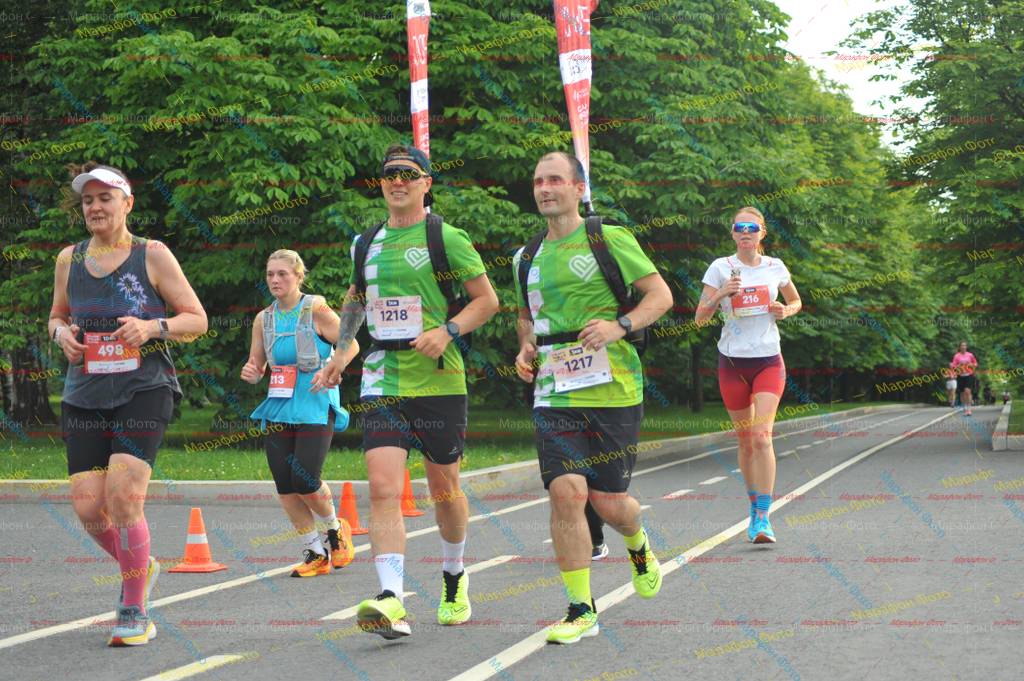 216, 113, 498, 1217, 1218