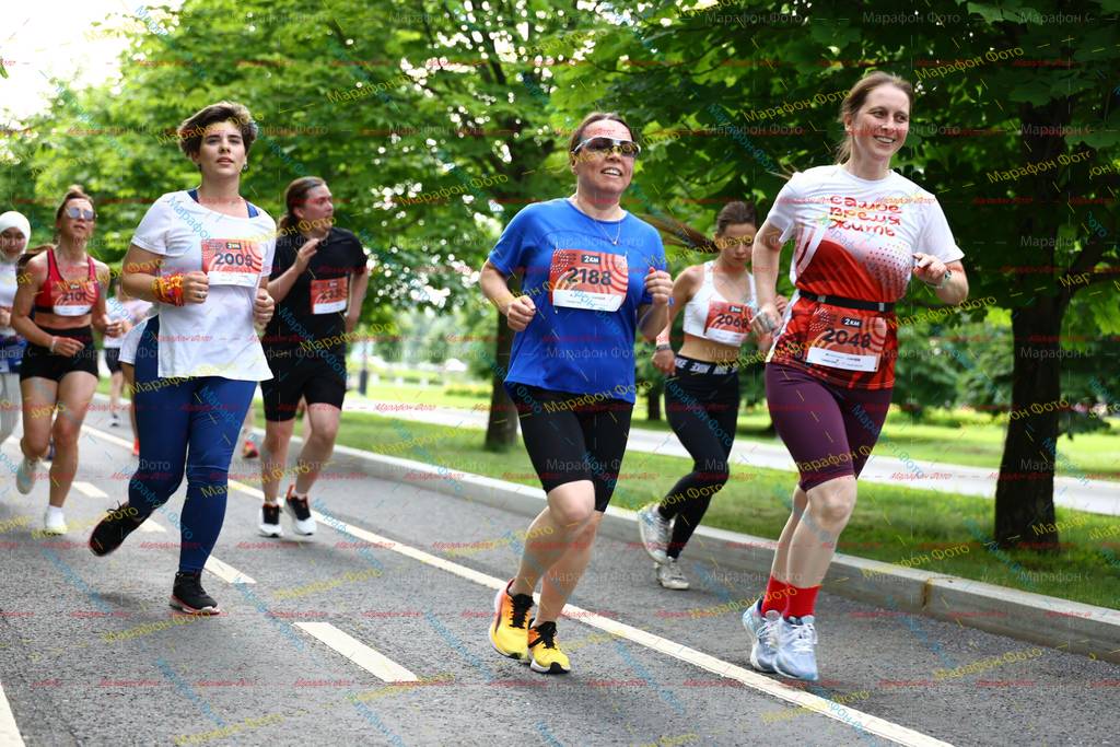 2188, 2005, 2043, 890