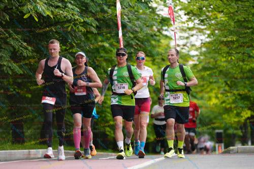 498, 1218, 1217, 242