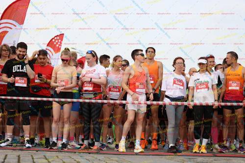 5245, 5248, 222, 5733, 139, 608, 5065