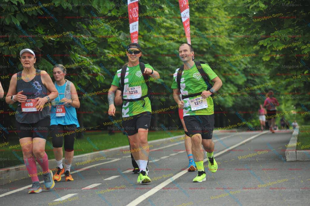 498, 1217, 1218, 213