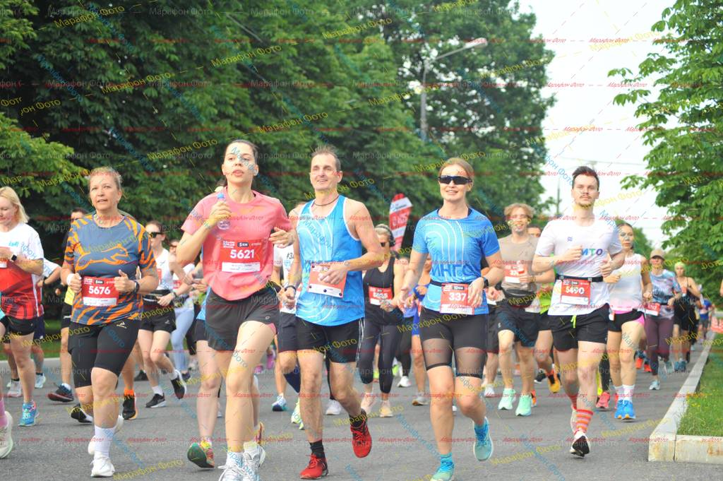 337, 3, 5621, 5676, 5490