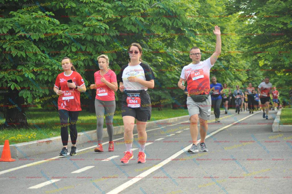 5651, 5744, 5078, 41