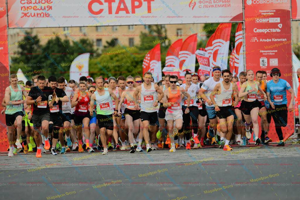 5322, 587, 6000139, 5313, 530, 5954, 5650, 608, 222