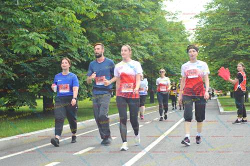 2484, 2487, 2266, 2264