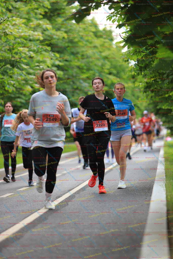 2549, 2223, 1023, 24