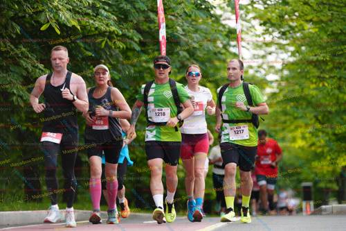 242, 498, 1217, 1218, 16