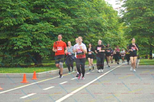 439, 5603, 5294, 5123