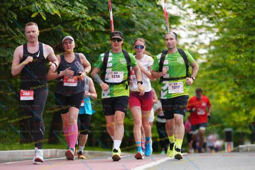 498, 242, 1217, 1218