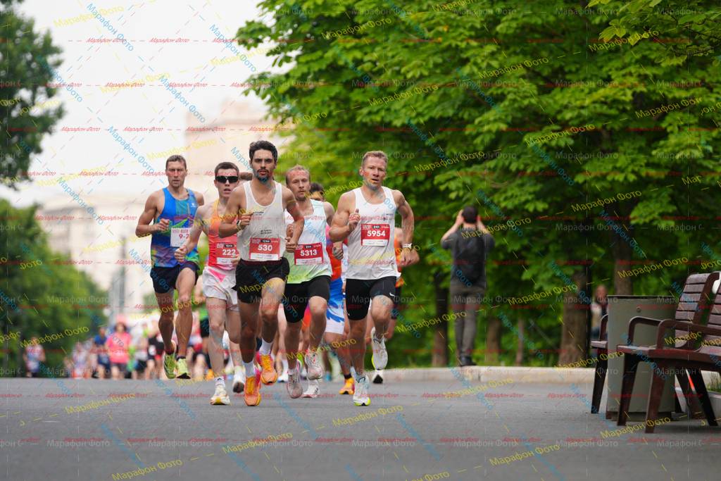 5954, 222, 530, 5313