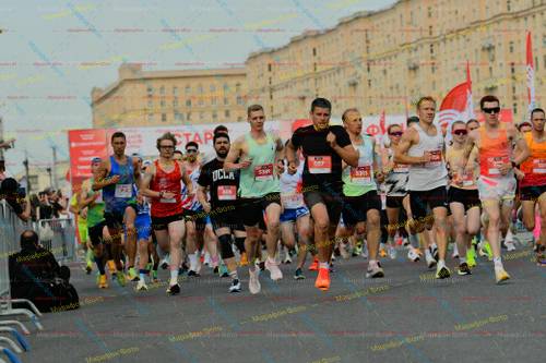 254, 5389, 5313, 608