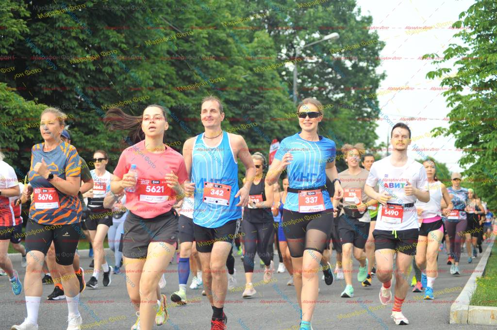 337, 5621, 342, 5490, 5676