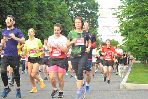 5620, 5596, 5602, 533