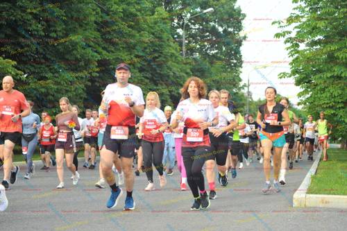 328, 329, 5613, 5480, 5234, 5920, 493