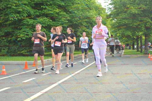 480, 5155, 478, 5560