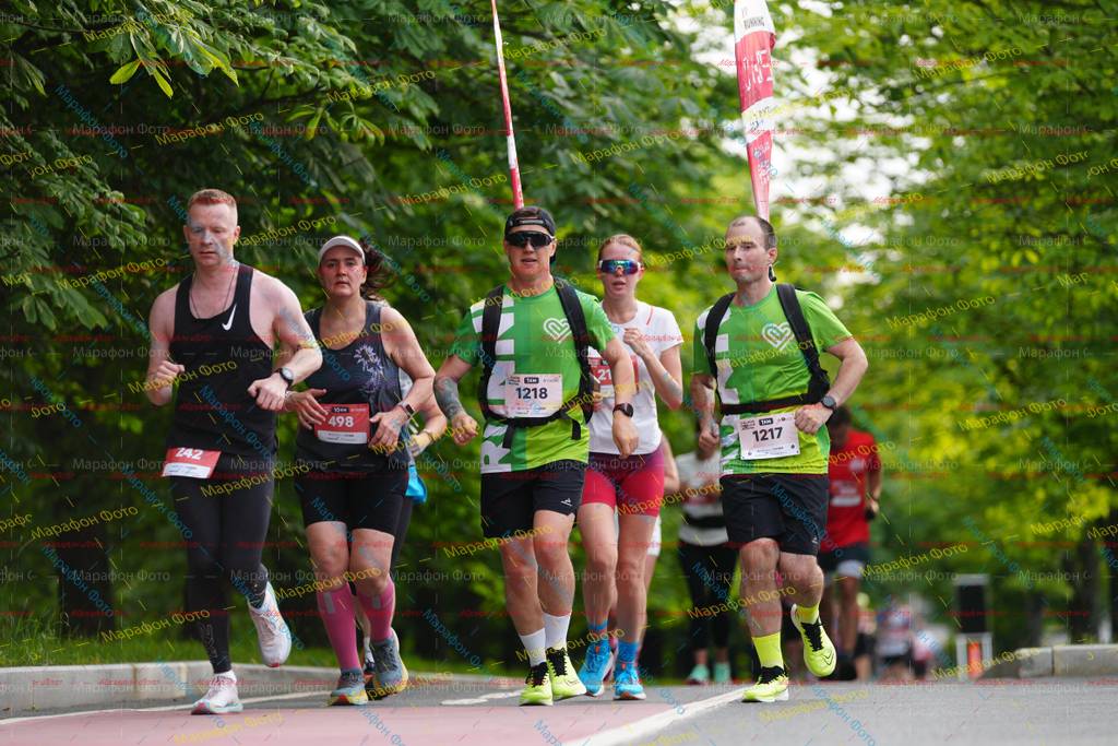 242, 1218, 1217, 498, 21