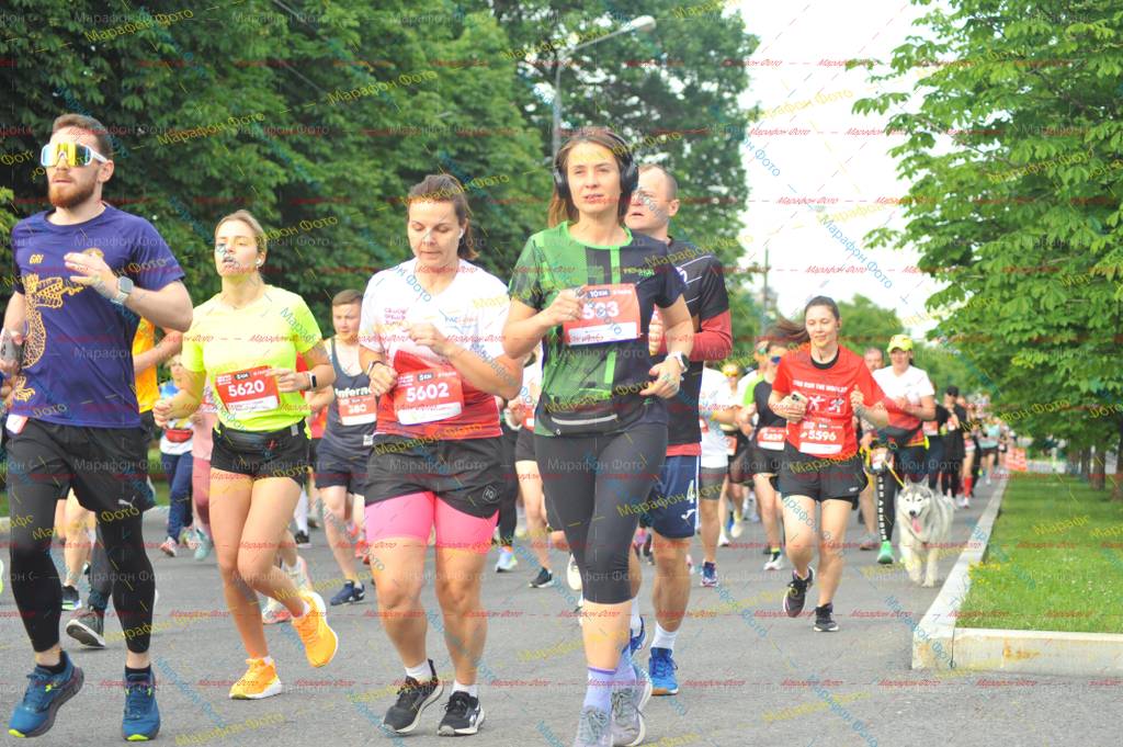 5620, 5596, 5602, 533